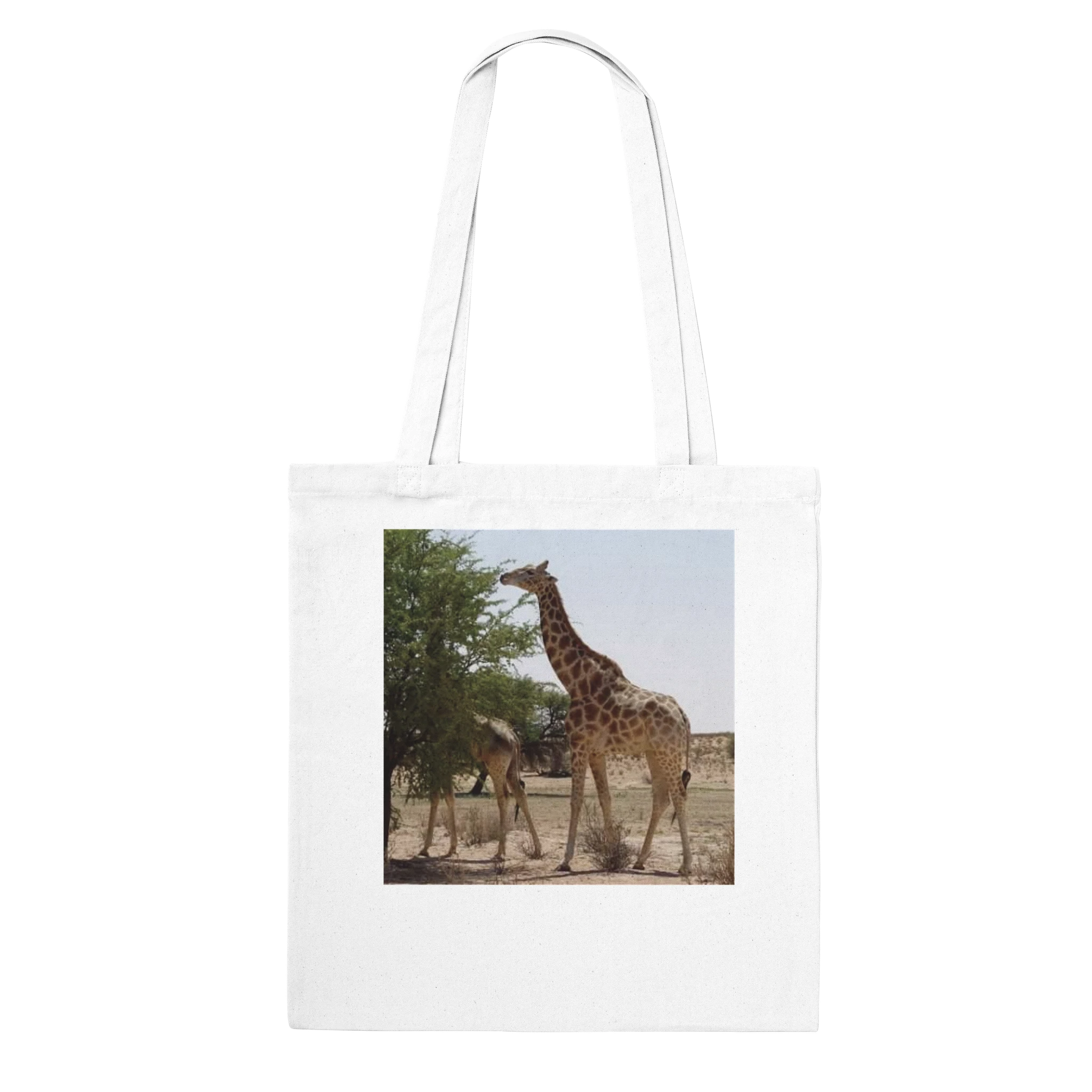 2934306f-02a7-444a-ad70-f6cfda8e6f81