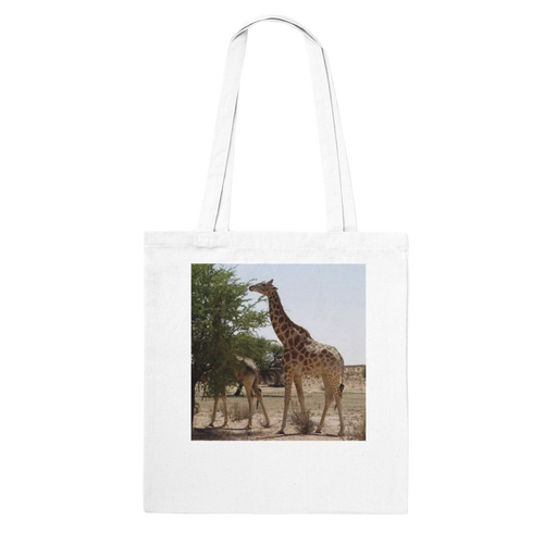 2934306f-02a7-444a-ad70-f6cfda8e6f81